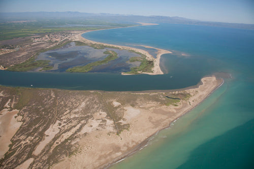 Excursión ornitológica - DELTA DE L'EBRE
