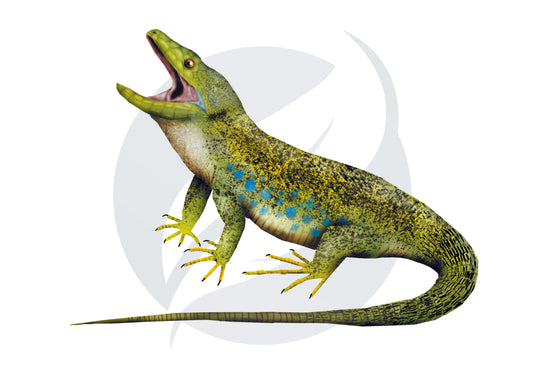 Lagarto ocelado