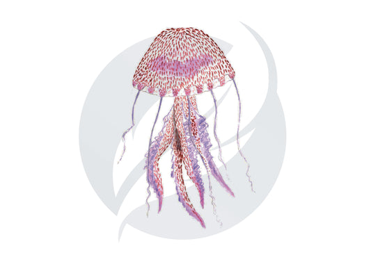 Medusa luminiscente