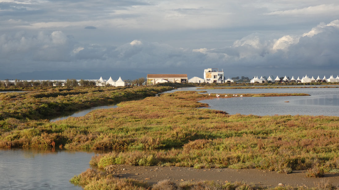 En el Delta Birding Festival 2024