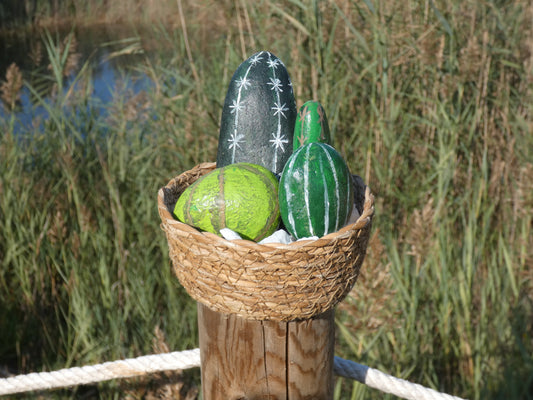 Cactus de piedra