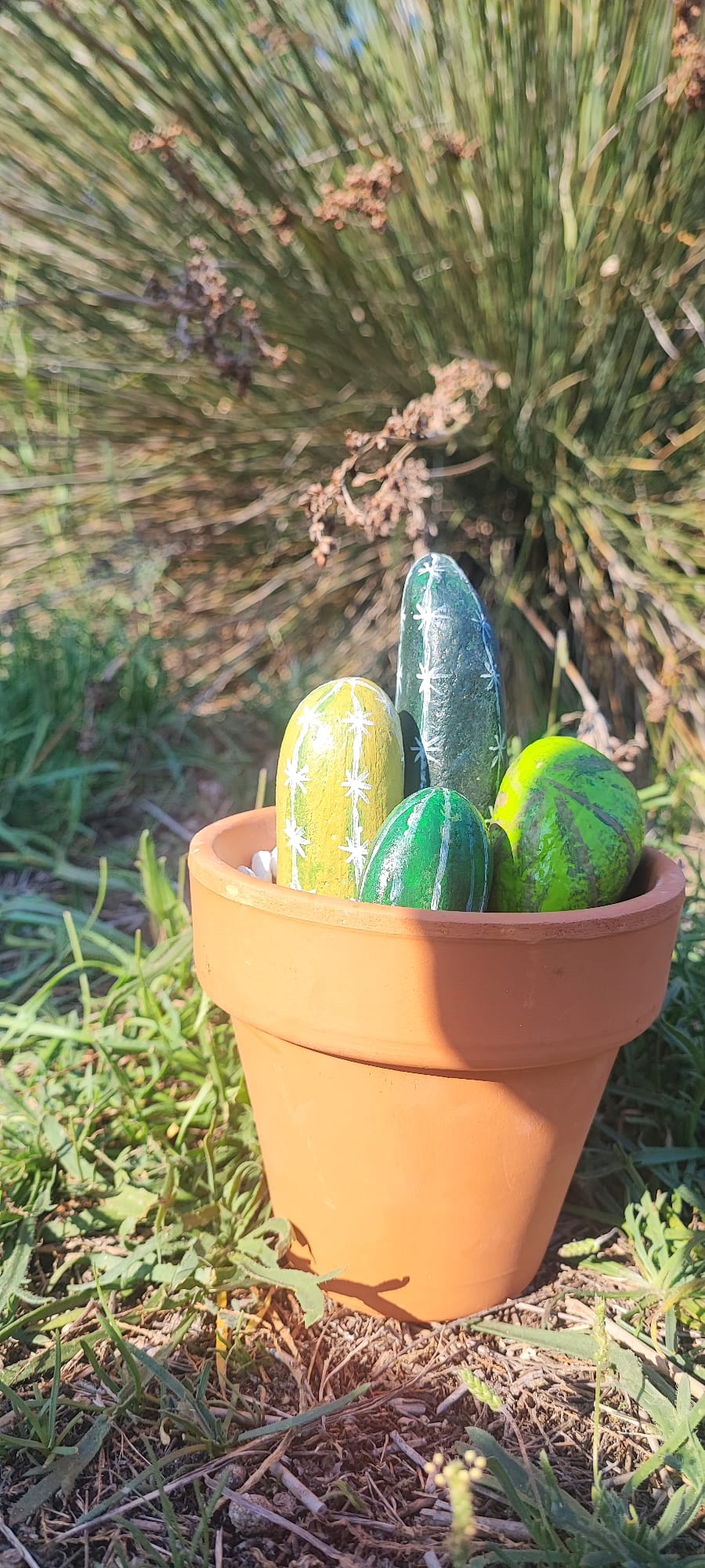 Cactus de piedra