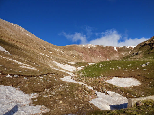 Excursión ornitológica - COLL DE PAL