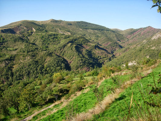 Viaje ornitológico 2 días - PALLARS JUSSÀ